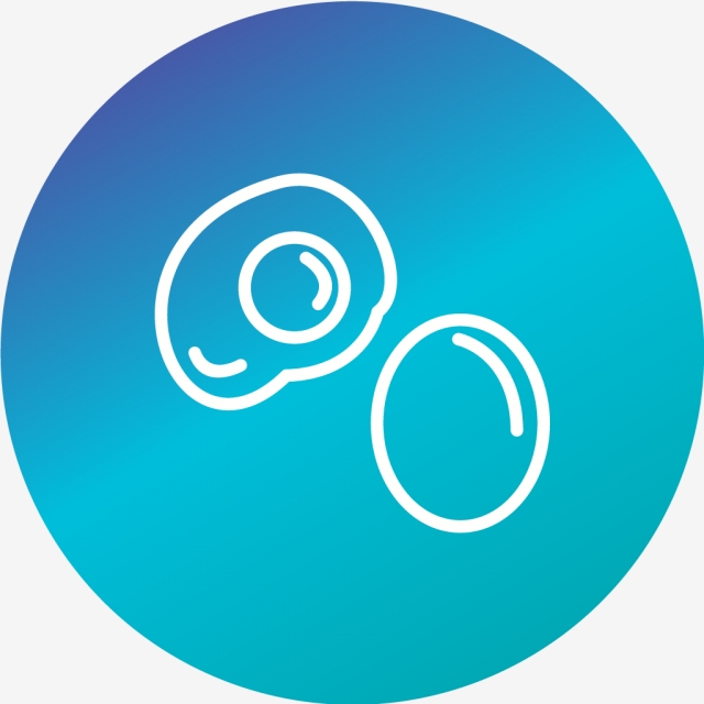 640x640 Vector Egg Icon, Breakfast, Easter, Egg Png And Vector For Free