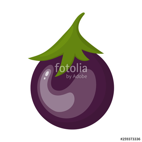 500x500 Fresh Eggplant Vegetable Isolated On White Background Eggplant