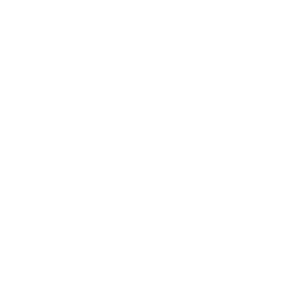 256x256 White Electricity Icon