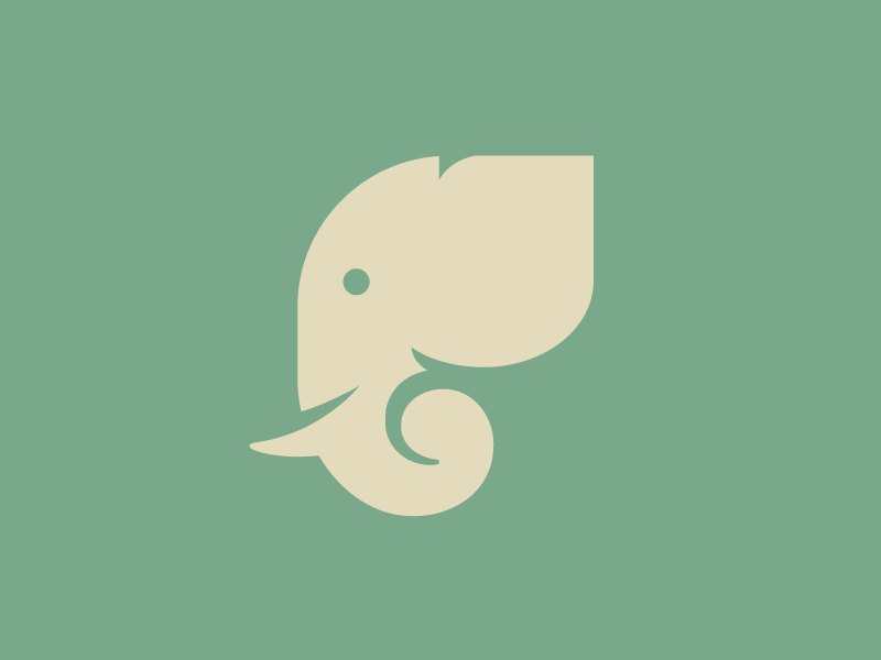800x600 Elephant Icon