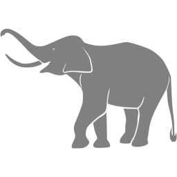 256x256 Gray Elephant Icon