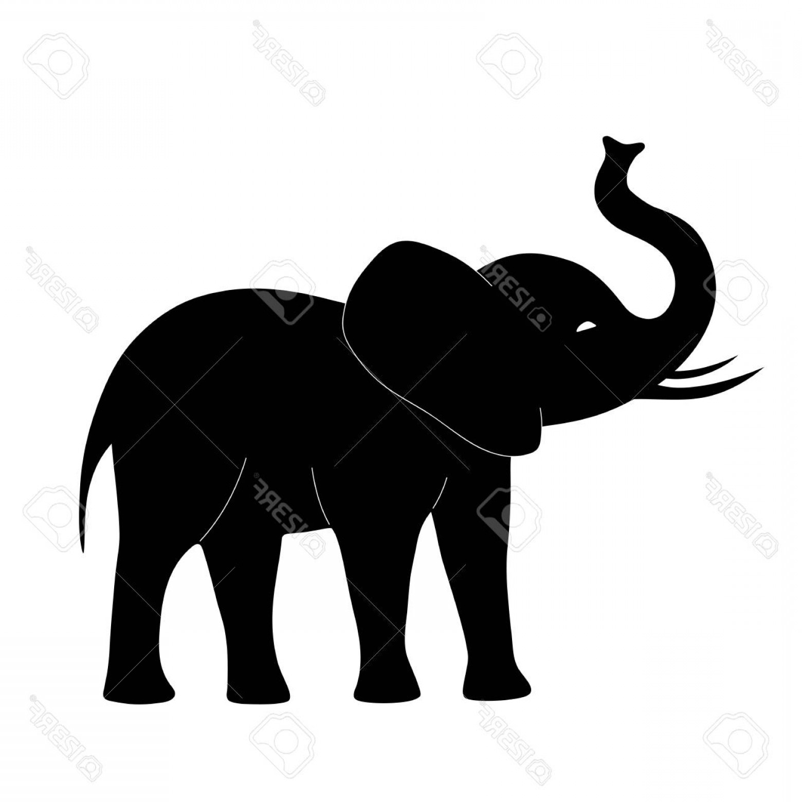 1560x1560 Photostock Vector Black Elephant Icon Symbol Silhouette Vector