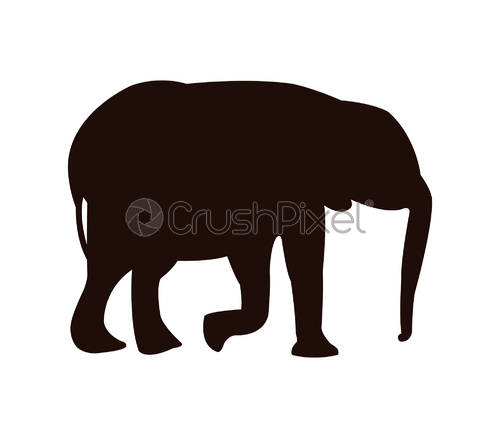 500x438 Elephant Icon, Stock Vector Crushpixel