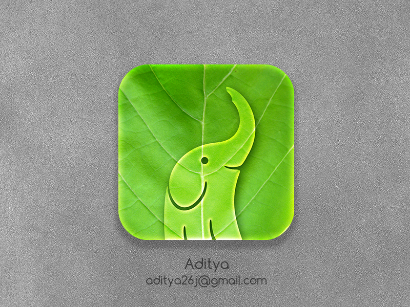 800x600 Eco Elephant Ios App Icon