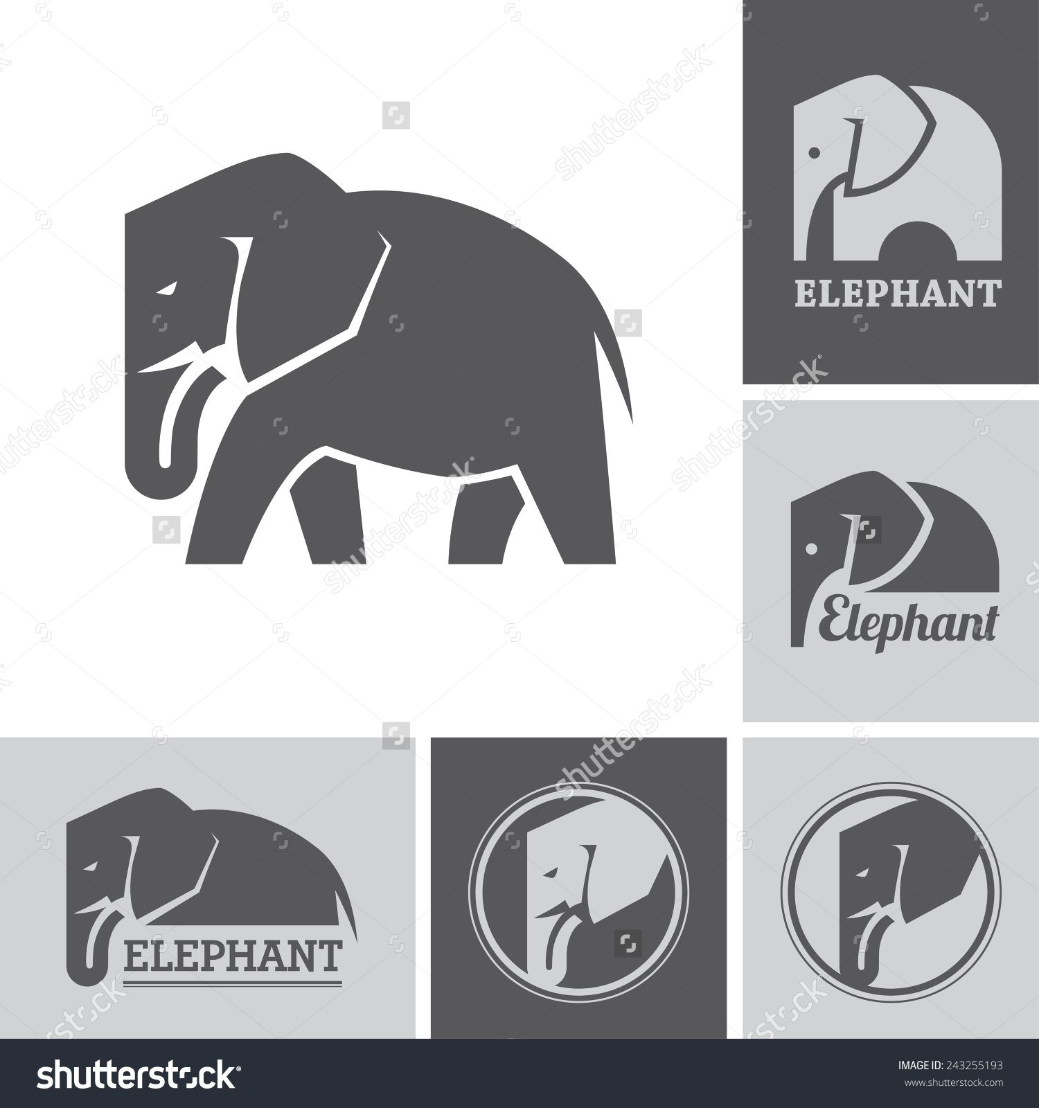1500x1600 Set Of Elephant Icons And Symbols On White And Dark Backgrounds