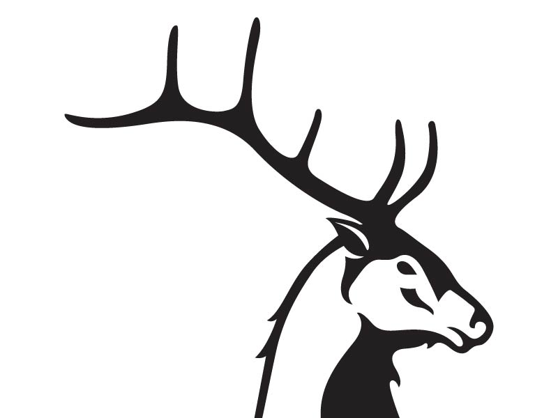 800x600 Elk Icon