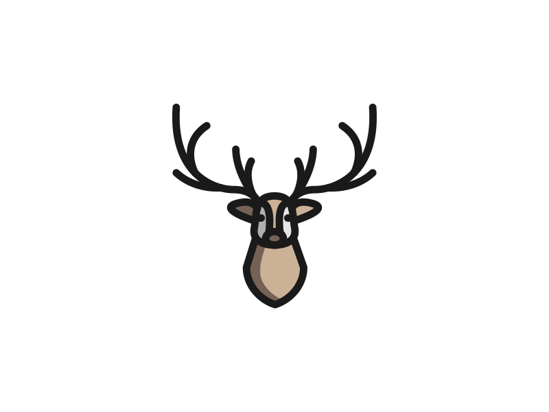 800x600 Elk