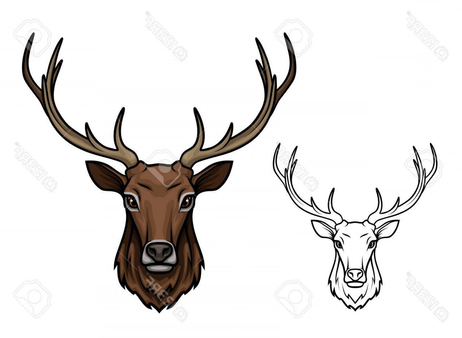 1560x1141 Elks Logo Vector Hoodamath