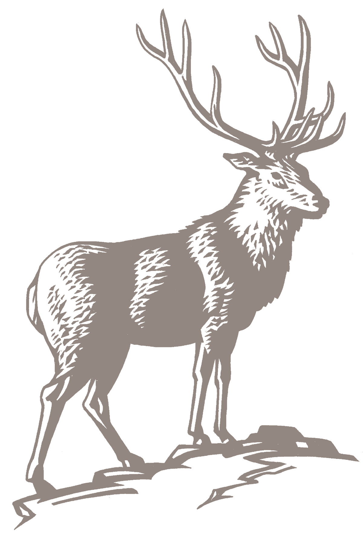 1200x1765 Logos Icons