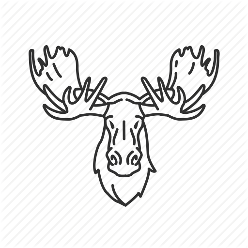 512x512 Bull Moose, Elk, Elk Head, Moose, Moose Head, Mount, Mounted Moose