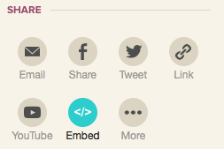 253x169 How To Customize Your Video Embed Code