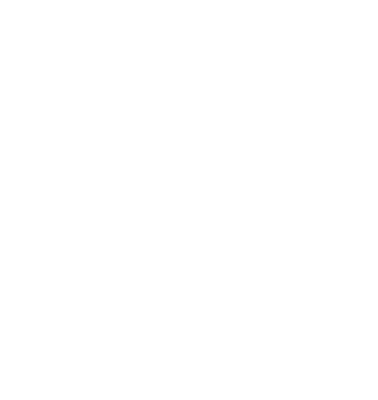 Emergency Preparedness Icon