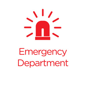 300x300 Emergency Room Icon