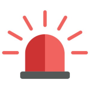 300x300 Icon Emergency Services