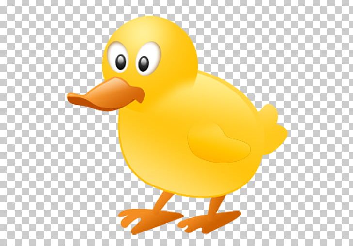 728x508 Emoticon Emote Icon Png, Clipart, Animals, Beak, Bird, Cartoon