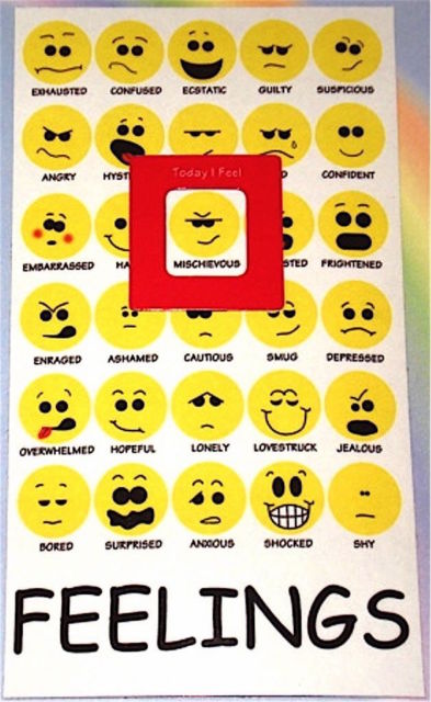 393x640 New Feelings Chart Mood Magnet How I Feel, Emotions Emoticons