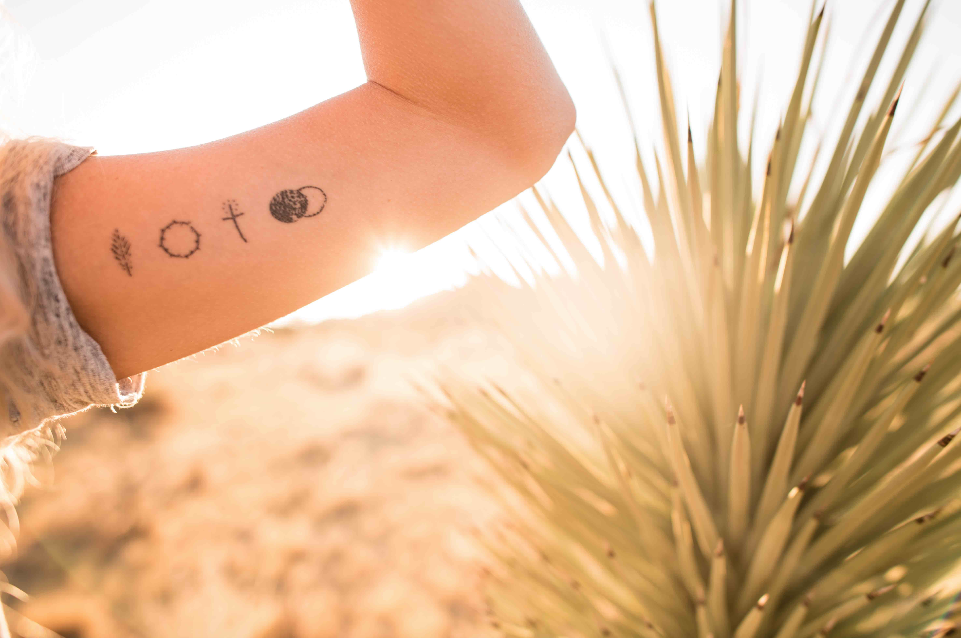 1974x1310 Branch Crown Cross Tomb Armed With Truth