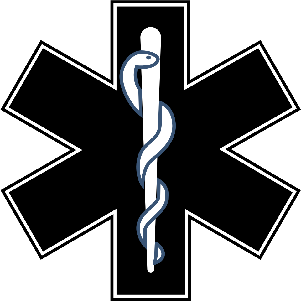 Ems Icon at Vectorified.com | Collection of Ems Icon free for personal use