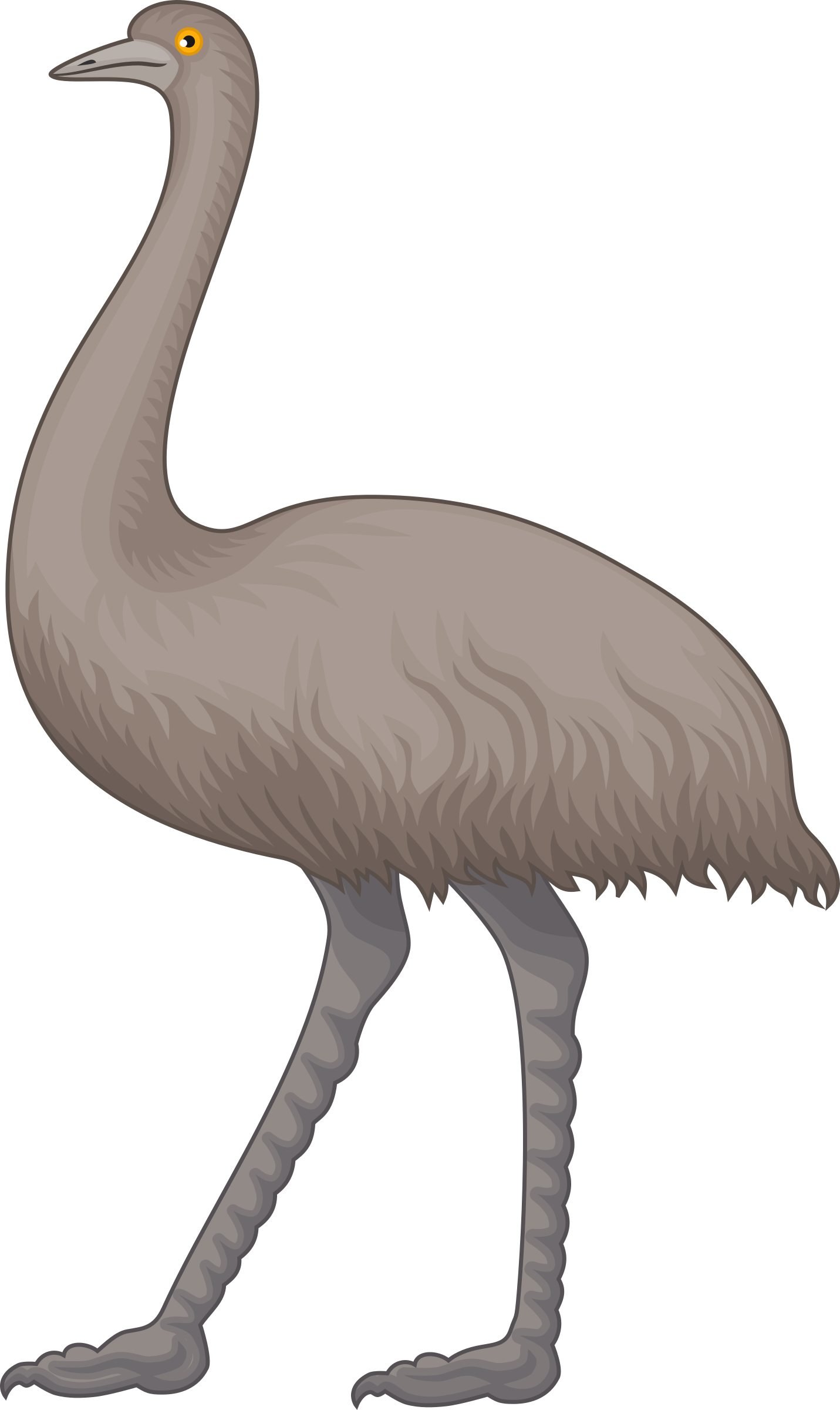 1431x2400 Emu Icons Png