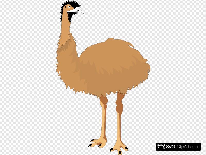 800x600 Emu Clip Art, Icon