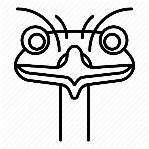 512x512 Animal, Austrich, Bird, Emu Icon