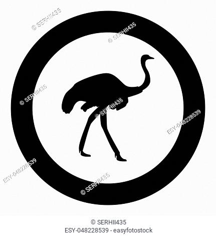431x470 Emu Icon In Flat Stock Photos And Images Age Fotostock