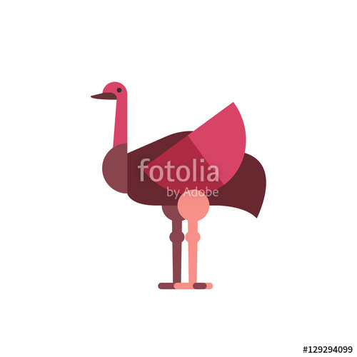 500x500 Pink Australian Emu Icon Stock Image And Royalty Free Vector