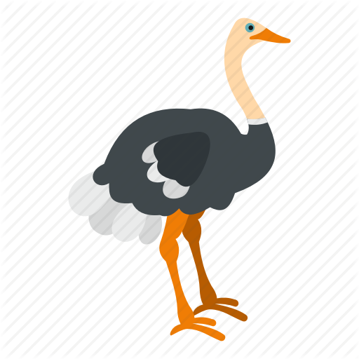 512x512 Animal, Beak, Bird, Emu, Feather, Nature, Ostrich Icon