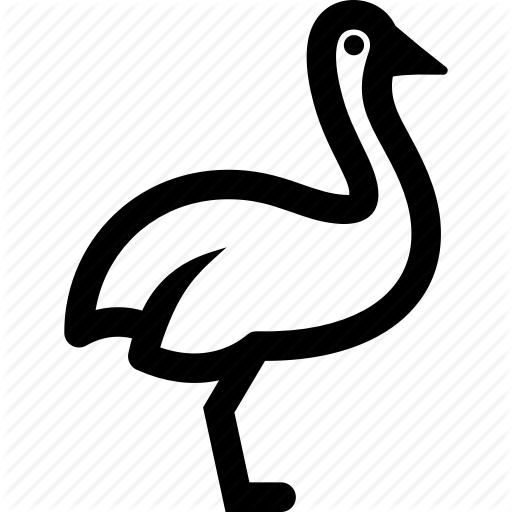 Avestruz, Emu, Ostrich, Rhea Icon 512x512 Avestruz, Emu, Ostrich, Rhea Icon