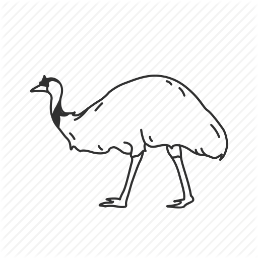 512x512 Bird, Emu, Large Bird, Zoo Icon