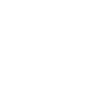 300x300 Encryption White