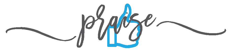 961x211 Endorsement For Nextgen Book