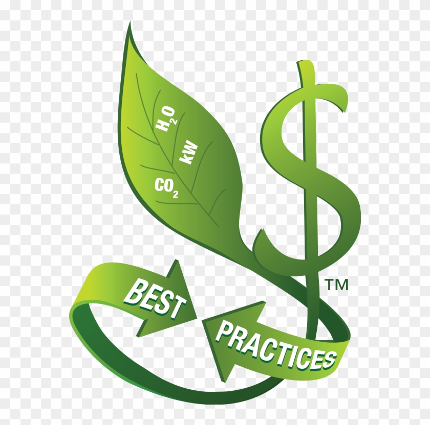 840x832 Green Leaf Icon