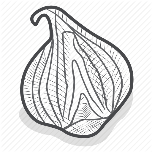 512x512 Engraving, Etching, Garlic, Green, Ingredient, Onion, Vegetarian Icon