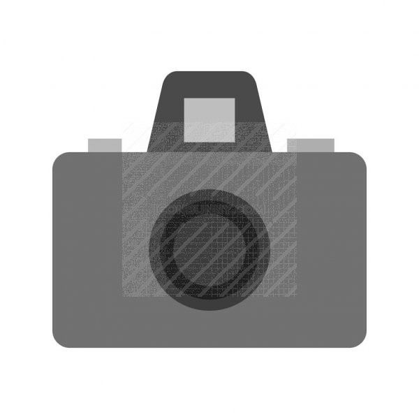 600x600 Camera Enhance Greyscale Icon