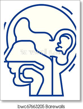 292x382 Ear, Nose, And Throat, Ent Line Icon Concept Ear, Nose