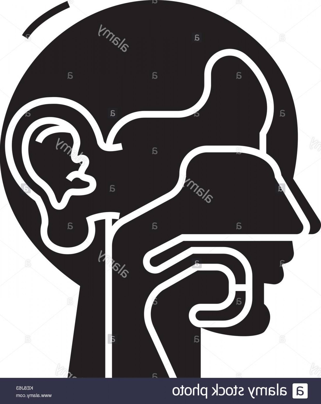 1327x1668 Ent Medical Vector Art Catamart