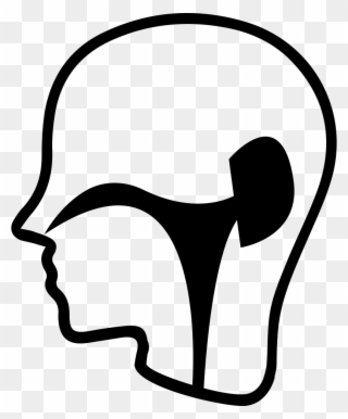 320x386 Pediatric Ear Nose Throat Doctors North Virginia