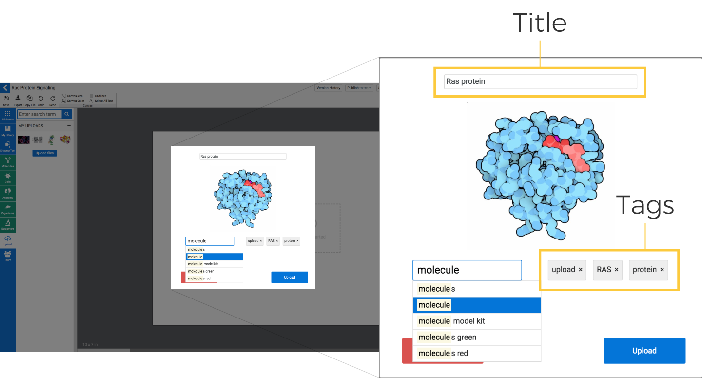 1440x775 Uploading Your Own Icon Biorender Support