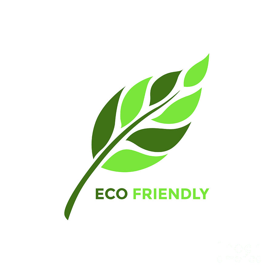 900x900 Leaf Tree Flower Eco Friendly Logo Icon Symbol Vector Design Ill