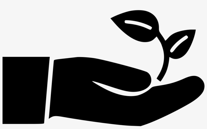 820x513 Eco Friendly