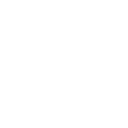 256x256 Free White Error Icon