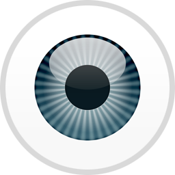 256x256 The Icon Is So Ugly