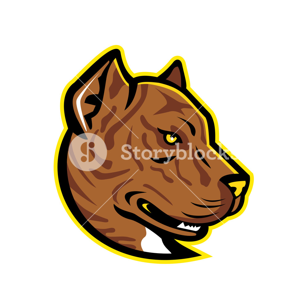 Mascot Icon Illustration Of Head Of A Spanish Bulldog Or Alano 1000x1000 Mascot Icon Illustration Of Head Of A Spanish Bulldog Or Alano