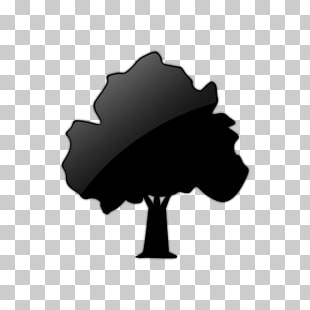 310x310 Shade Tree Computer Icons Oak Deciduous Tree