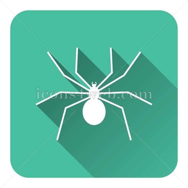 600x600 Spider Flat Icon With Long Shadow Vector