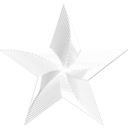 256x256 Etoile White Icon