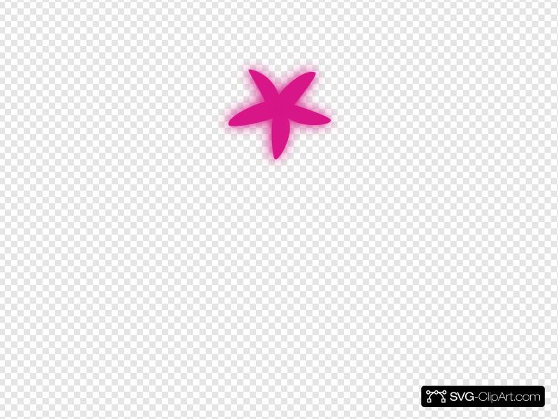 800x600 Etoile De Mer Clip Art, Icon