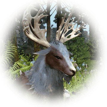 360x360 Kamasylvia Horn Deer