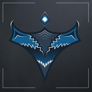 300x300 Evasion Esport